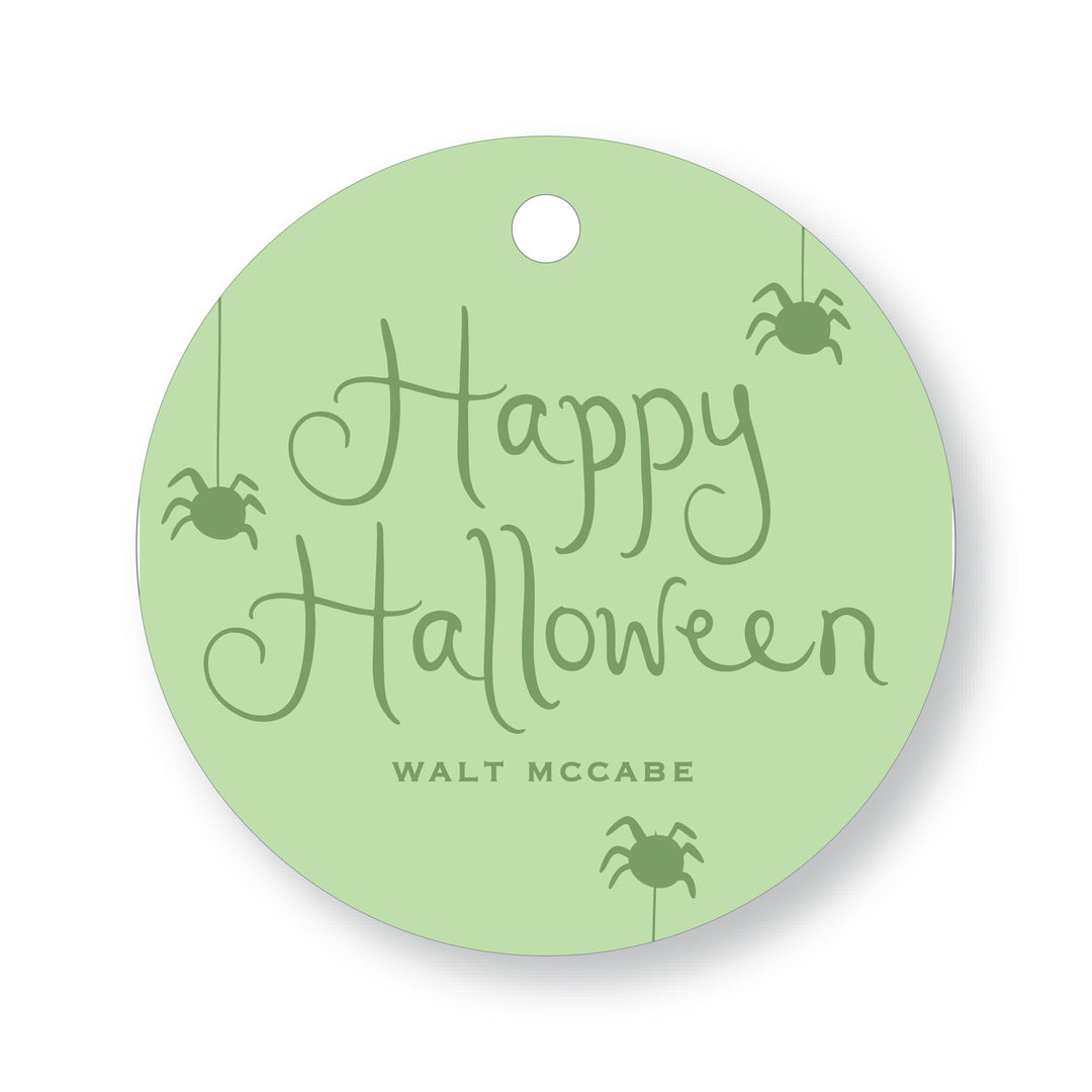 Hanging Spider Tag